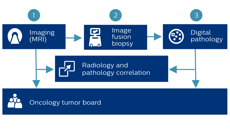 Diagram connecting MR, Image fusion biopsy, digital pathology, radiology and pathology, and the oncology tumor board