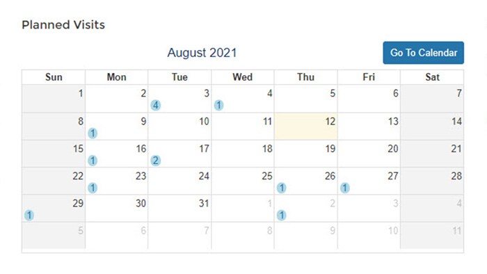 Calendar with planned visits section