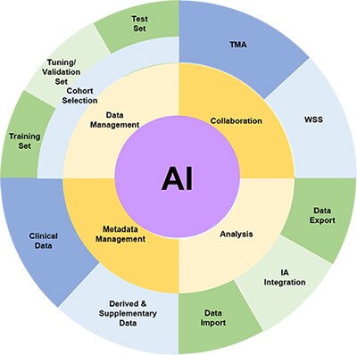 Xplore images diagram