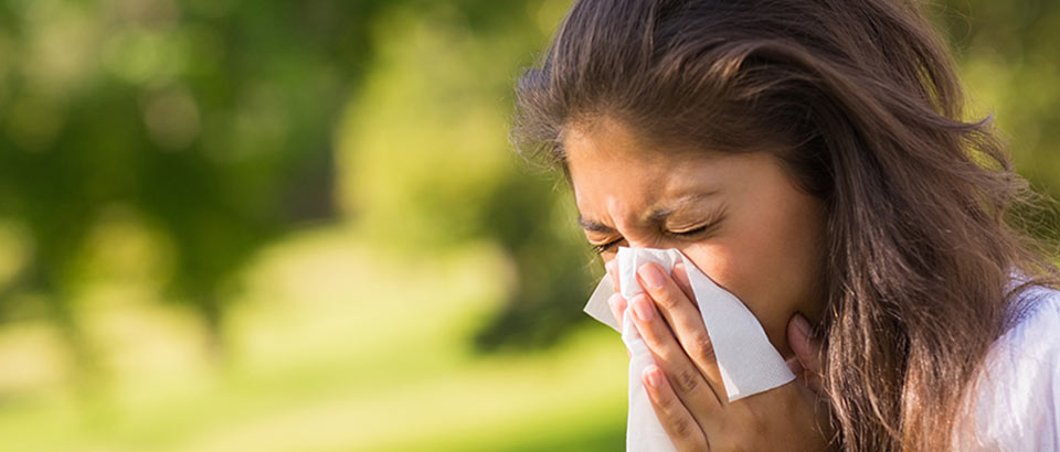 Alergeni v domačem okolju – vrste cvetnega prahu in kdaj se pojavljajo