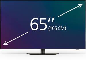 65-palčni televizorji