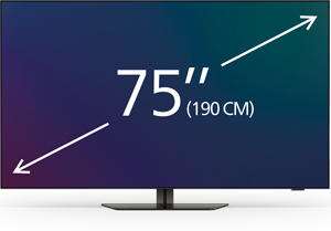 75-77 inčni televizorji